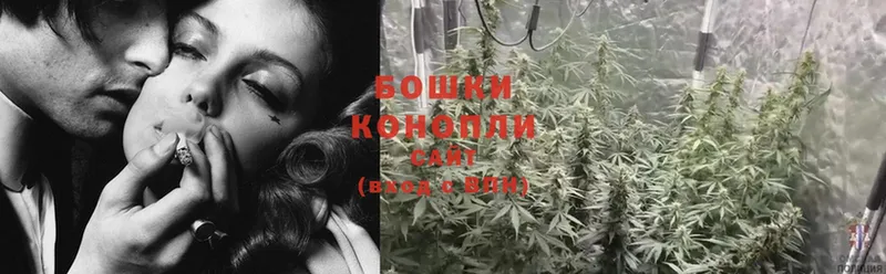 Марихуана SATIVA & INDICA  Вологда 